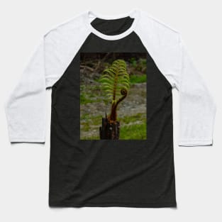 The Tree Fern Baseball T-Shirt